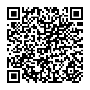QR Code for Determinants of Repayment Performance in Credit Groups: The Roal of Program Design,Intragroup Risk Pooling, and Social Cohesion