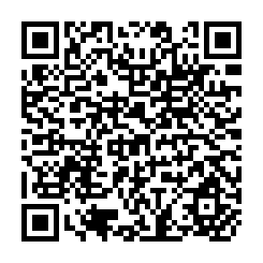 QR Code for Financing Agricultural Research: Internatioonal Investment Patterns and Policy Perspectives