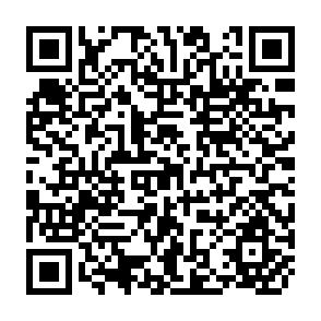 QR Code for A century of Russian agriculture