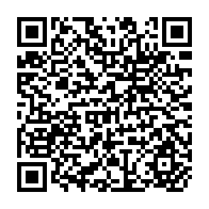 QR Code for Will the Growing Trade Gap Sink Viet Nam? Some Exploratory Economics