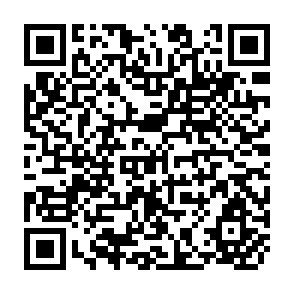 QR Code for The International Monetary Fund and Civil Society- An Underdeveloped Dialogue