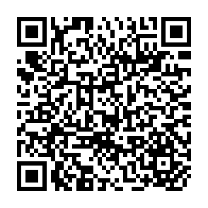 QR Code for Working Papers