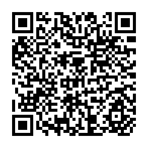 QR Code for The World Economy: The Crisis in Financial Markets and the Risk of a Global Depression