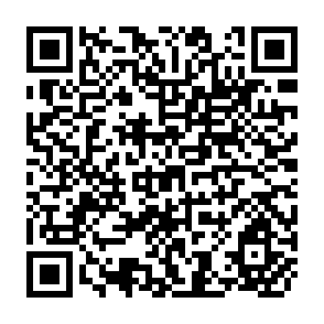 QR Code for Of Saints, Sinners and Companears : Internationalist Lives in the Americas Today
