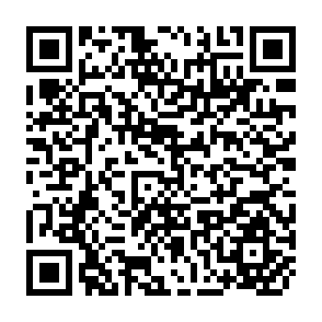 QR Code for Paradox for Windows