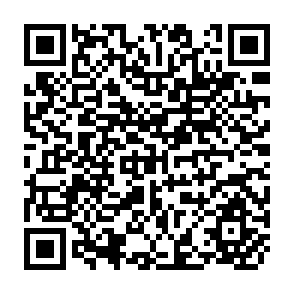 QR Code for Imperilism and Revolution in South Asia