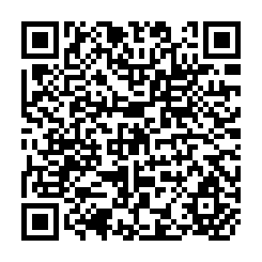 QR Code for The Political Structure of the New Protectionism