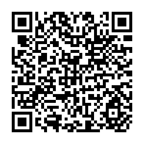 QR Code for Building National Capacity to Develop Water Users' Associations