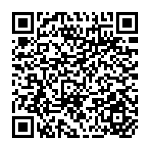 QR Code for Paraprofessionals in Rural Development Issues in Field-Level Staffing for Agricultural Projects