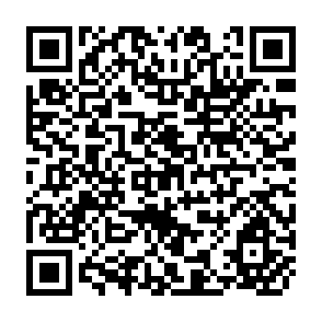 QR Code for Assesing Development Finance Institutions A Public Interest Analysis