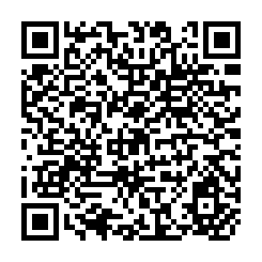 QR Code for Household Consequences of High Fertility in Pakistan