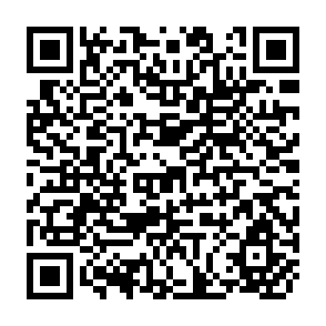 QR Code for Strengthening Protection of Intellectual Property in Developing Countries