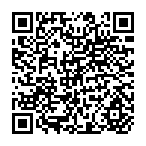 QR Code for Public Enterprise Reform : Lessons form the Past and Issues for the Future