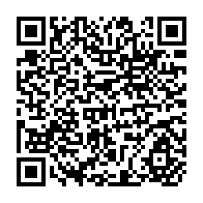 QR Code for Regional Integration among Developing Countries, Revisited