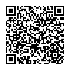 QR Code for 206 World Bank Discussion Papers-Information Technology in World Bank Lending: Increasing the Developmental Impact