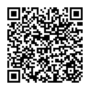 QR Code for Framing South Asian Transformation