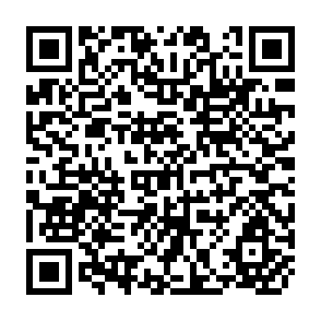 QR Code for World Development Report 1999/2000