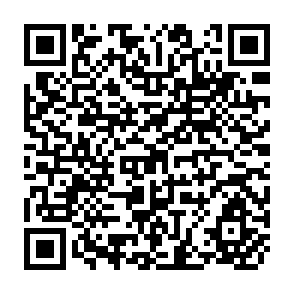 QR Code for Poverty Lines in Theory and Practice