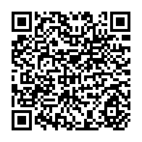 QR Code for Development in Practice - Governance