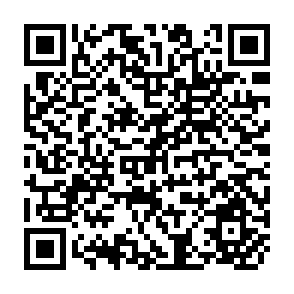 QR Code for The Polotical Economy of Democratic Decentralization