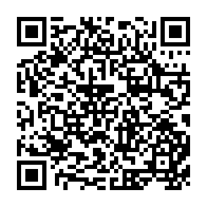 QR Code for The Theory of Capitalist Development