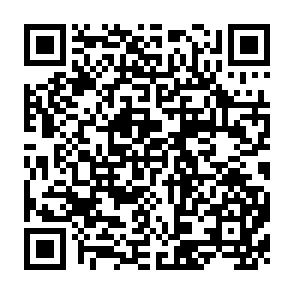 QR Code for The Theory of Capitalist Development