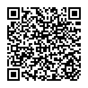 QR Code for Understanding Vulnerability