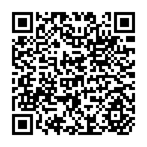 QR Code for Trade Commerce Comercio Vol. 52