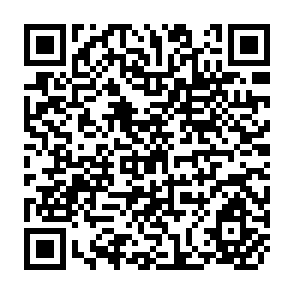 QR Code for Occupational Segregation and the Gender Earnings Gap