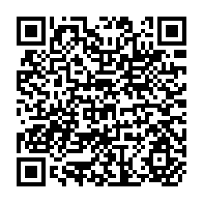 QR Code for Cultivating Peace