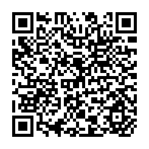 QR Code for Latin America: Under Development or Revolution