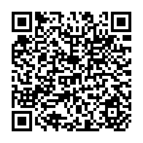 QR Code for Explaning Child Malnutrition in Developing Countries