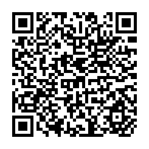 QR Code for Seed System Development- The Appropriate Roles of the Private and Public Sectors