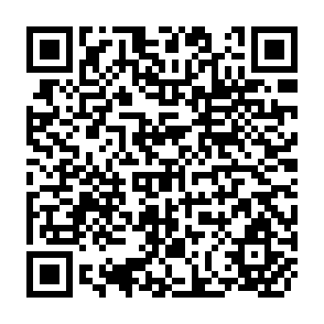 QR Code for A World Bank Policy Research Report