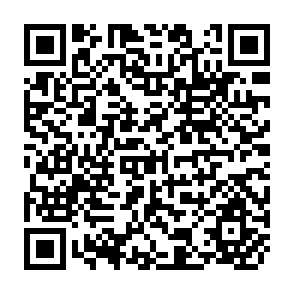 QR Code for Trade, Global Policy and the Environment