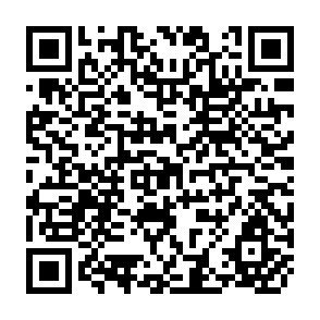 QR Code for Press Freedom