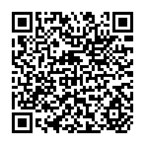 QR Code for Themes in Economic Anthropology