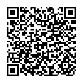 QR Code for A captive land