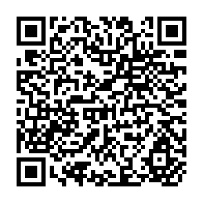 QR Code for Silenced Rivers