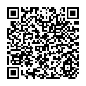 QR Code for Echo-socialism or Echo-capitalism? - A Critical Analysis of Huminitie's Fundermental Choices