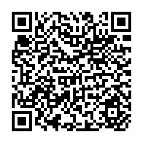 QR Code for The History of Development