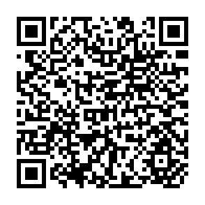 QR Code for Anecdotes,Situations, Historie- Varieties and Used of Cases in Thinkung About Ethics and Development Practics