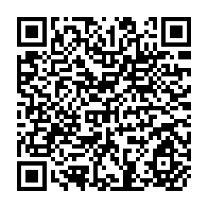 QR Code for Evaluating The "Logical Framework Approach" - Towords Learning - Oriented Development Evaluation