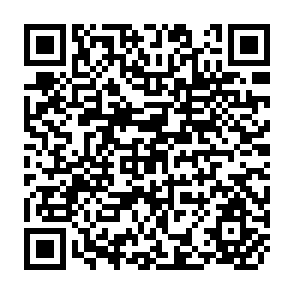 QR Code for International Labour's Y2K Problem: A Debate, A Discussion And a Dialogue