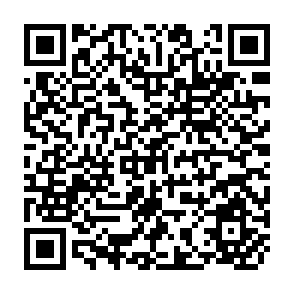 QR Code for A Real Monetary Conditions Index for The  Philippiones: Is It Useful?