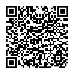 QR Code for Reforming Social Policy