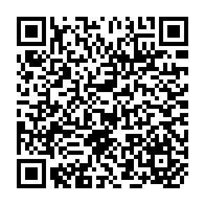 QR Code for Impact of new information technology on international libarary cooperation