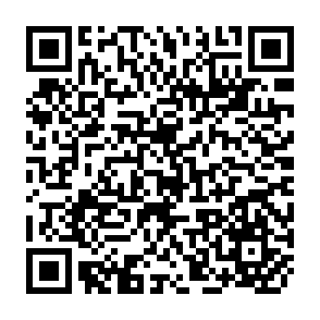 QR Code for Electronic Documents and Information: From Preservation to Access
