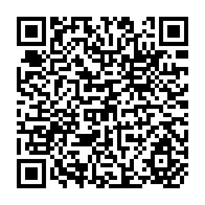 QR Code for Food Policy Analysis