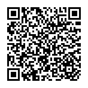 QR Code for Greed and grievance
